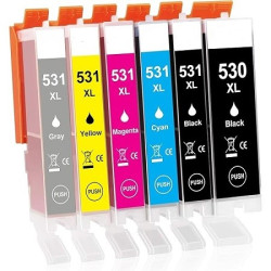 PACK DE 6 CARTOUCHES GENERIQUE CANON PGI530/ CLI531 (2BK-1C-1M-1Y-1G)